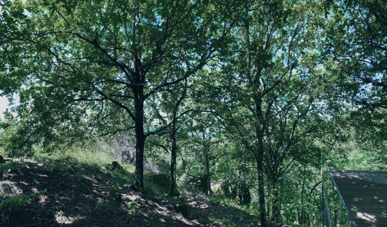 Oak Nature Виейра до Миньо Екстериор снимка